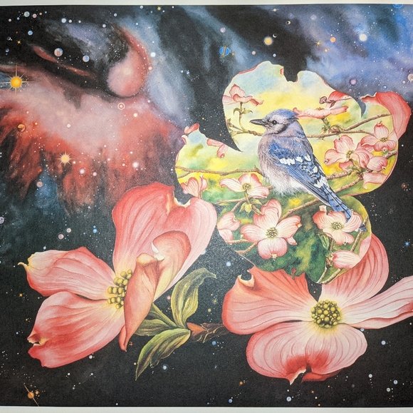"Beauty from Orion" numbered print (certified) - Picture 3 of 8